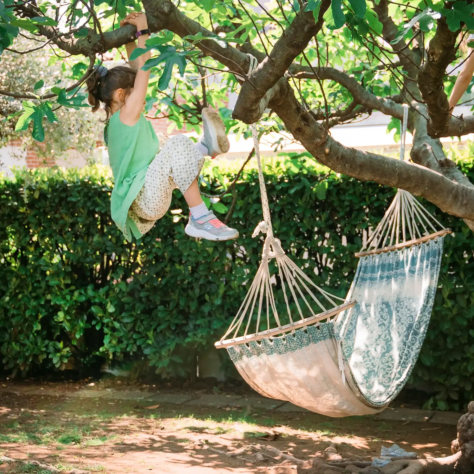 Bambina su albero e amaca Bambina su albero e amaca