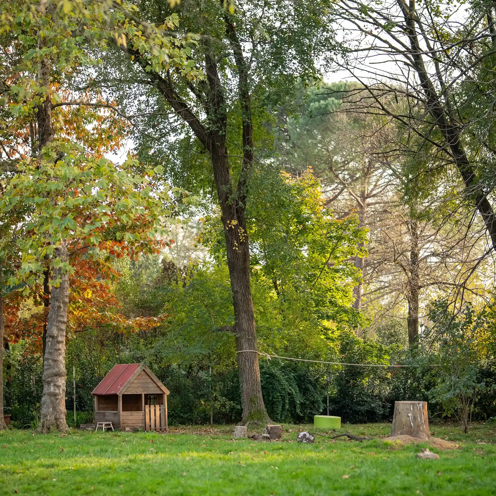 Giardino della scuola Giardino della scuola