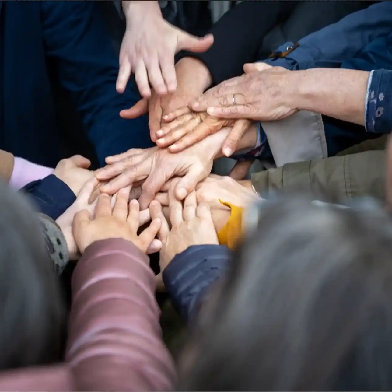 Mani assieme Mani assieme